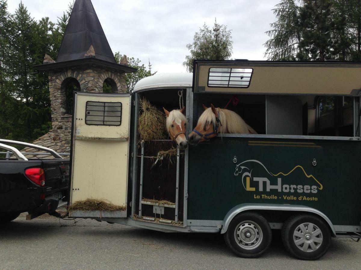 Lthorses & Dreams Bed & Breakfast La Thuile Eksteriør bilde